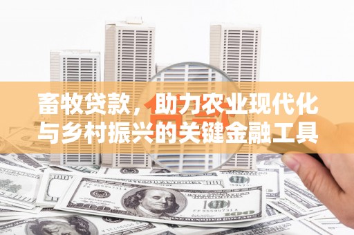 临漳畜牧贷款，助力农业现代化与乡村振兴的关键金融工具