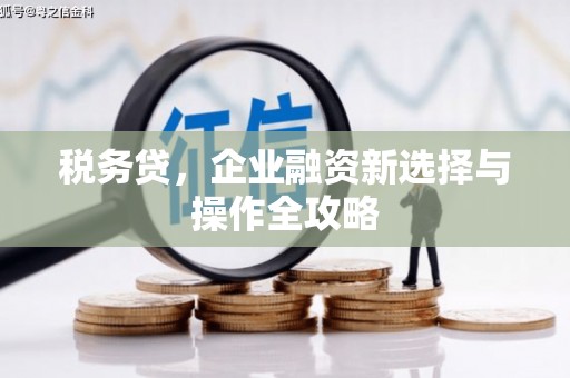 临漳税务贷，企业融资新选择与操作全攻略