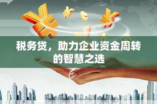 临漳税务贷，助力企业资金周转的智慧之选