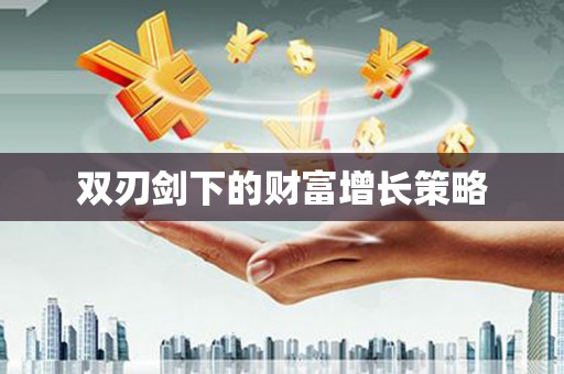 临漳双刃剑下的财富增长策略