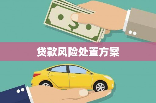 临漳贷款风险处置方案