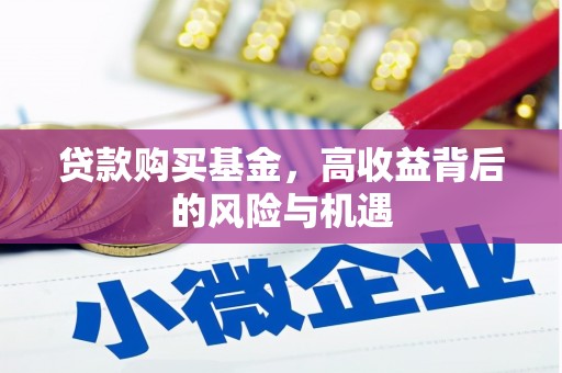 临漳贷款购买基金，高收益背后的风险与机遇