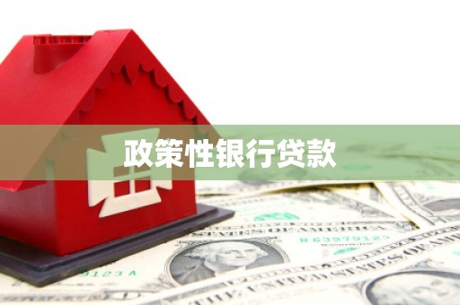 临漳政策性银行贷款