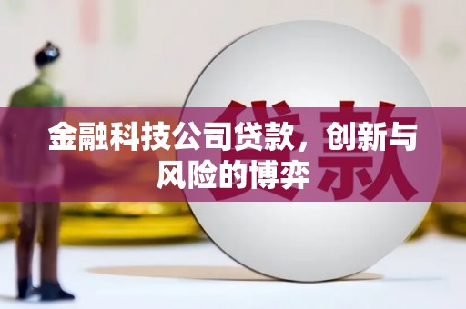 临漳金融科技公司贷款，创新与风险的博弈