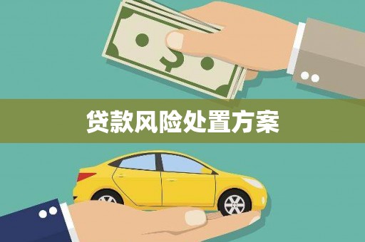 临漳贷款风险处置方案