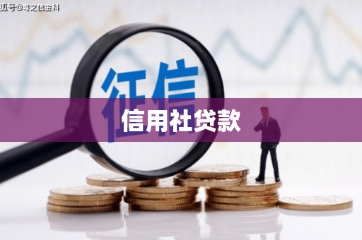 临漳信用社贷款