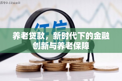 临漳养老贷款，新时代下的金融创新与养老保障