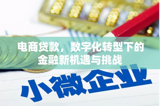 临漳电商贷款，数字化转型下的金融新机遇与挑战