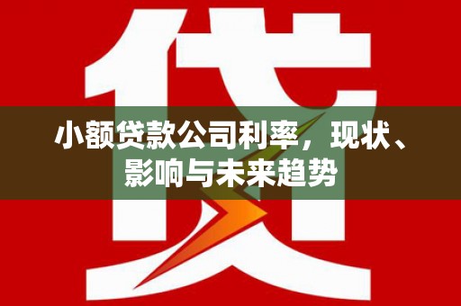 临漳小额贷款公司利率，现状、影响与未来趋势