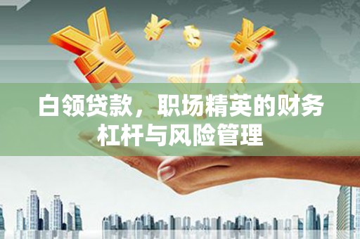 临漳白领贷款，职场精英的财务杠杆与风险管理