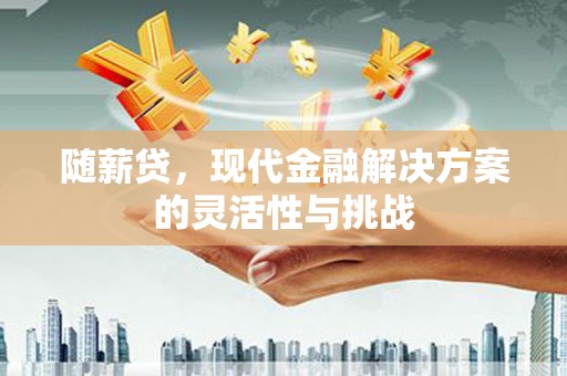 临漳随薪贷，现代金融解决方案的灵活性与挑战