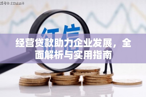 临漳经营贷款助力企业发展，全面解析与实用指南