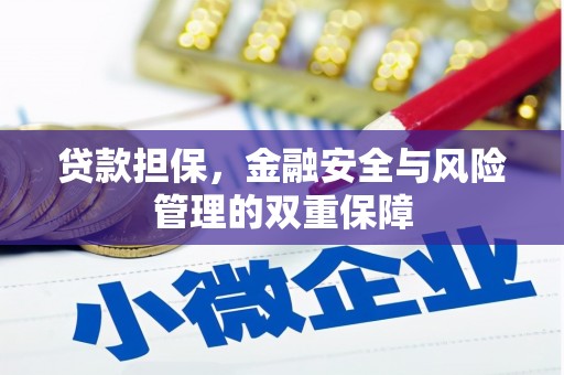 临漳贷款担保，金融安全与风险管理的双重保障