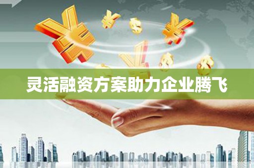 临漳灵活融资方案助力企业腾飞