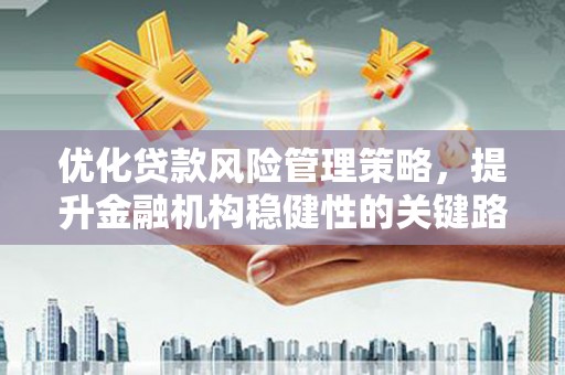 临漳优化贷款风险管理策略，提升金融机构稳健性的关键路径