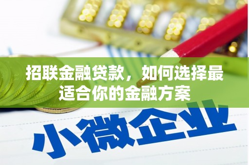 临漳招联金融贷款，如何选择最适合你的金融方案