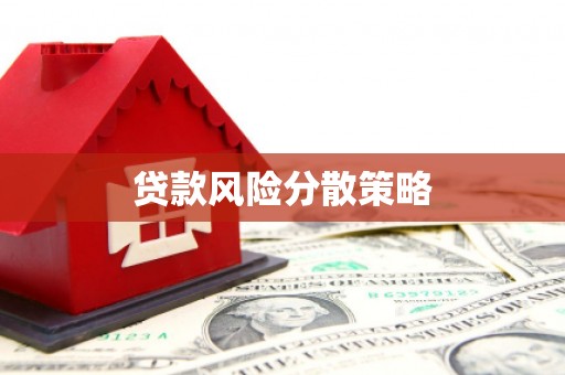 临漳贷款风险分散策略