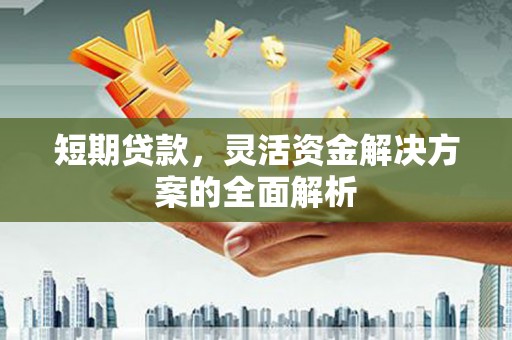 临漳短期贷款，灵活资金解决方案的全面解析