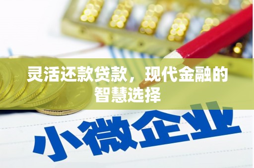 临漳灵活还款贷款，现代金融的智慧选择