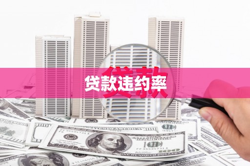 临漳贷款违约率