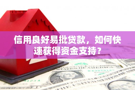 临漳信用良好易批贷款，如何快速获得资金支持？