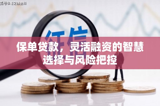 临漳保单贷款，灵活融资的智慧选择与风险把控