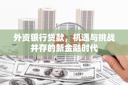 临漳外资银行贷款，机遇与挑战并存的新金融时代