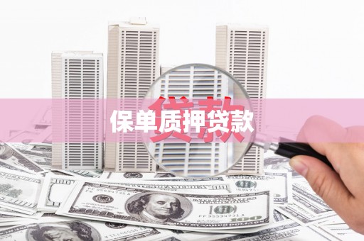 临漳保单质押贷款