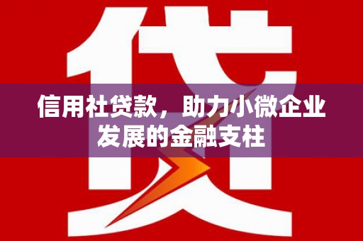 临漳信用社贷款，助力小微企业发展的金融支柱