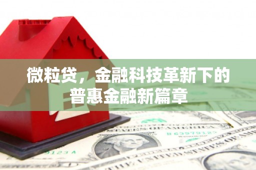 临漳微粒贷，金融科技革新下的普惠金融新篇章