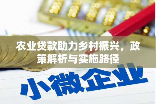 临漳农业贷款助力乡村振兴，政策解析与实施路径
