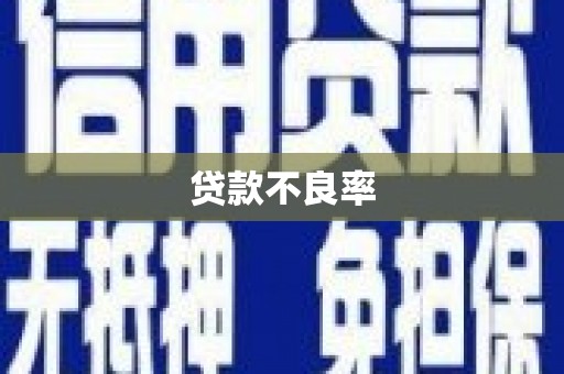 临漳贷款不良率