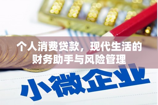 临漳个人消费贷款，现代生活的财务助手与风险管理