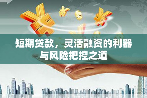 临漳短期贷款，灵活融资的利器与风险把控之道