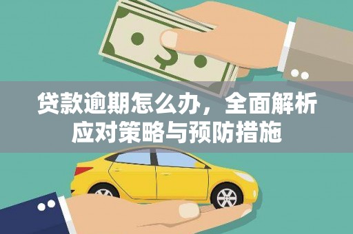 临漳贷款逾期怎么办，全面解析应对策略与预防措施