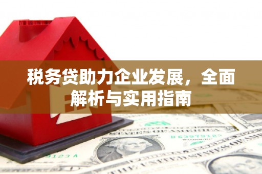 临漳税务贷助力企业发展，全面解析与实用指南