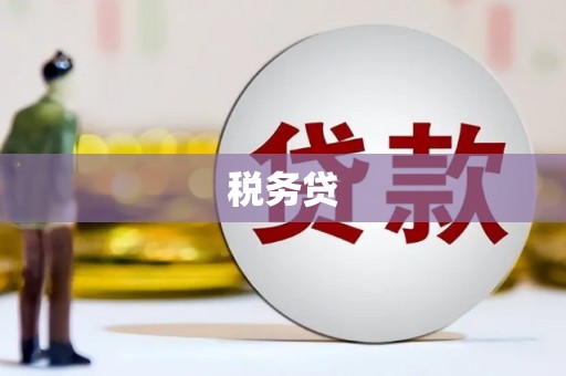 临漳税务贷