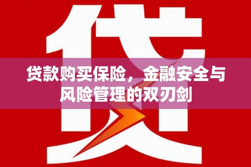 临漳贷款购买保险，金融安全与风险管理的双刃剑