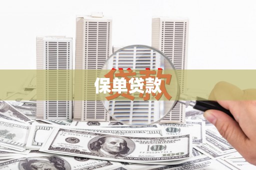 临漳保单贷款