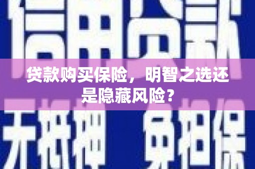 临漳贷款购买保险，明智之选还是隐藏风险？