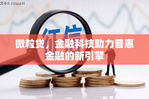 临漳微粒贷，金融科技助力普惠金融的新引擎