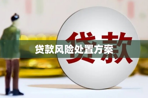 临漳贷款风险处置方案