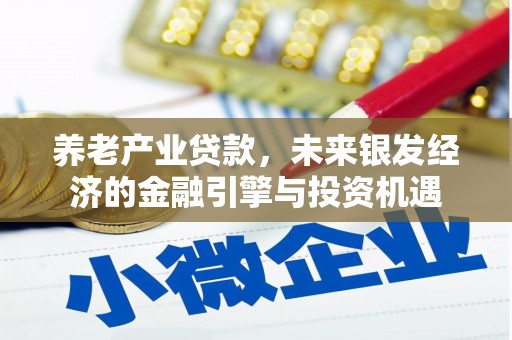 临漳养老产业贷款，未来银发经济的金融引擎与投资机遇