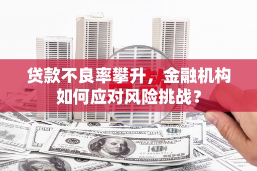 临漳贷款不良率攀升，金融机构如何应对风险挑战？
