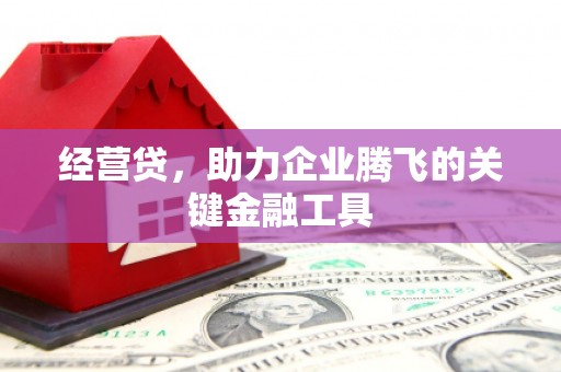 临漳经营贷，助力企业腾飞的关键金融工具