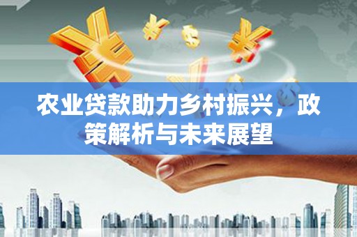 临漳农业贷款助力乡村振兴，政策解析与未来展望