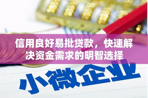 临漳信用良好易批贷款，快速解决资金需求的明智选择