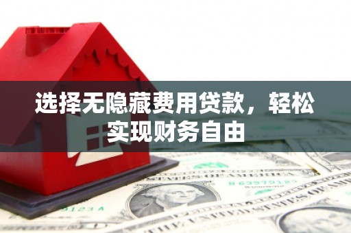 临漳选择无隐藏费用贷款，轻松实现财务自由