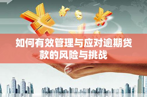临漳如何有效管理与应对逾期贷款的风险与挑战