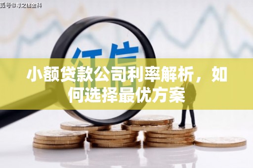 临漳小额贷款公司利率解析，如何选择最优方案